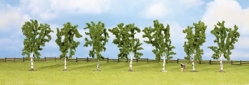 25098 Noch H0/TT/N/Z  Birken