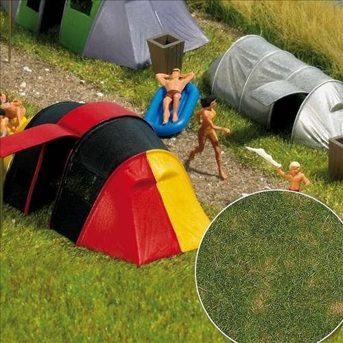 1303 Busch Sommergras  SA