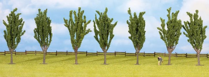 25098 Noch H0/TT/N/Z Pappeln